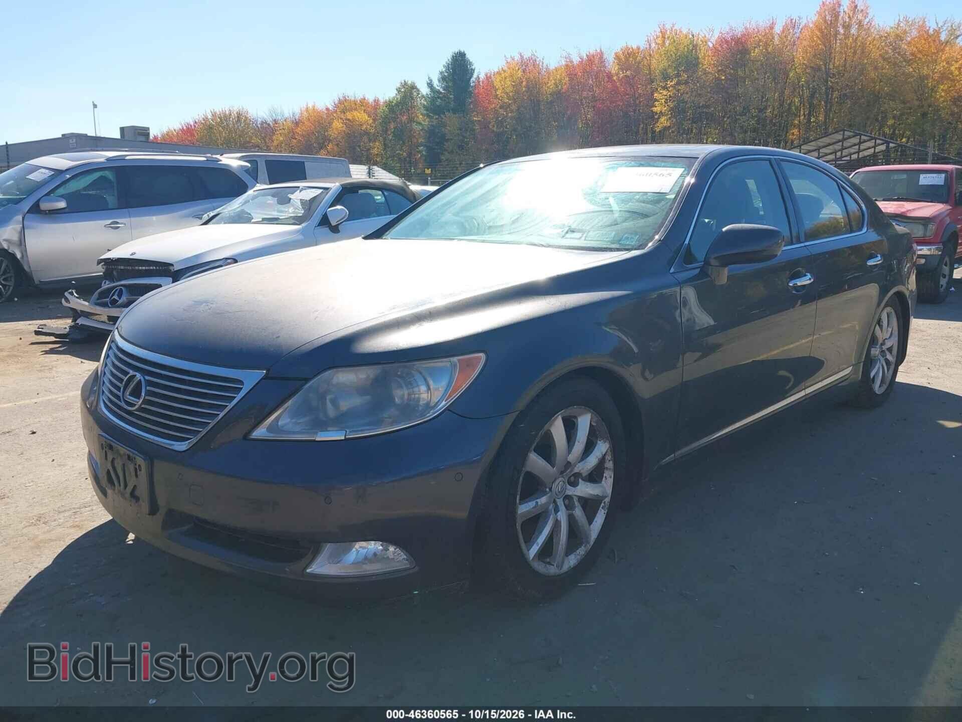 2009 LEXUS LS 460 - VIN: JTHCL46F295001527 - Photo 2