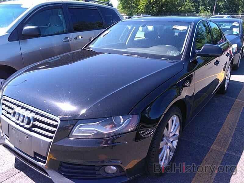 Фотография WAUFFAFL8BN047442 - Audi A4 2011