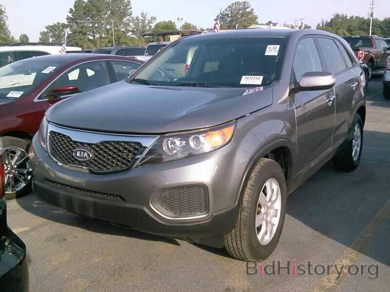 Фотография 5XYKT3A18DG346290 - Kia Sorento 2013