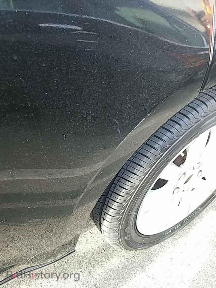 2013 Chrysler 200 - VIN: 1C3CCBBB5DN762932 - Фото 15