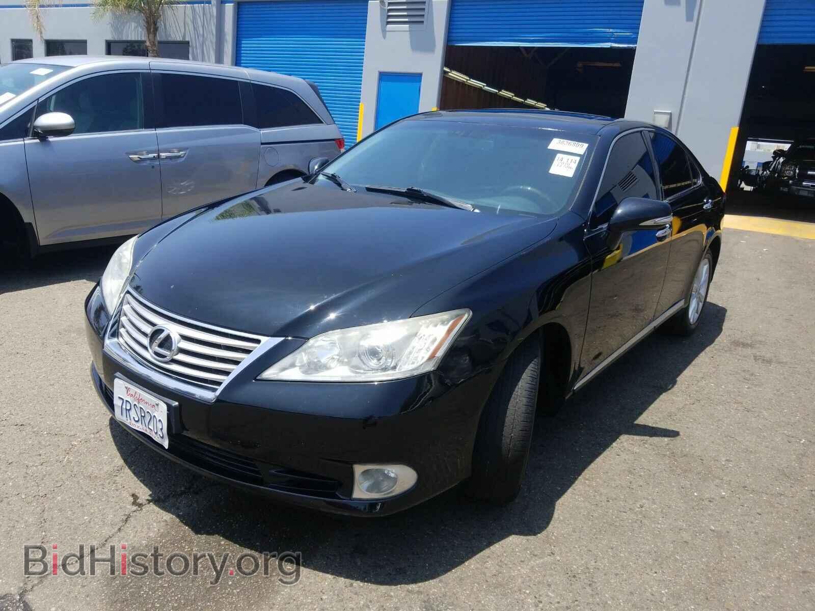 Фотография JTHBK1EG1A2398290 - Lexus ES 350 2010