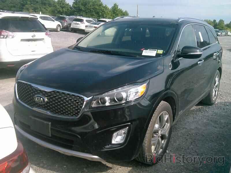 Photo 5XYPKDA54HG221164 - Kia Sorento 2017