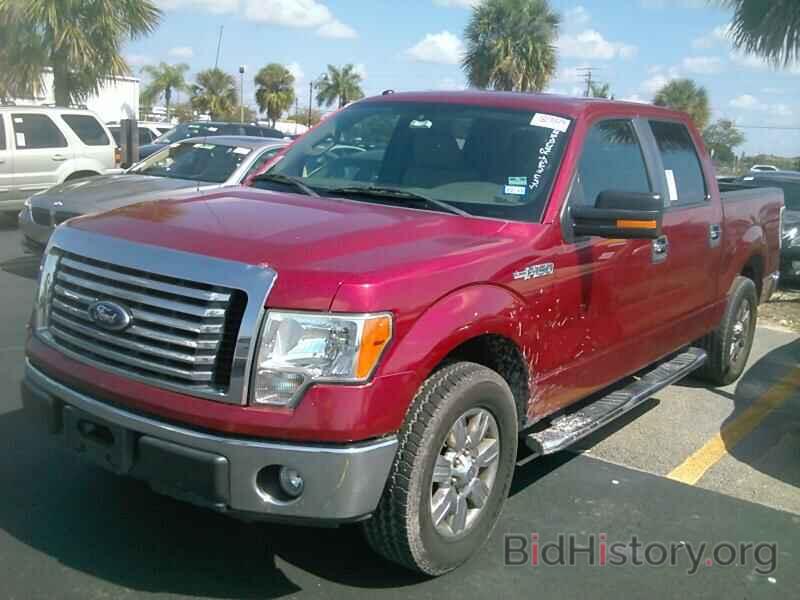 Photo 1FTEW1C89AFC29447 - Ford F-150 2010