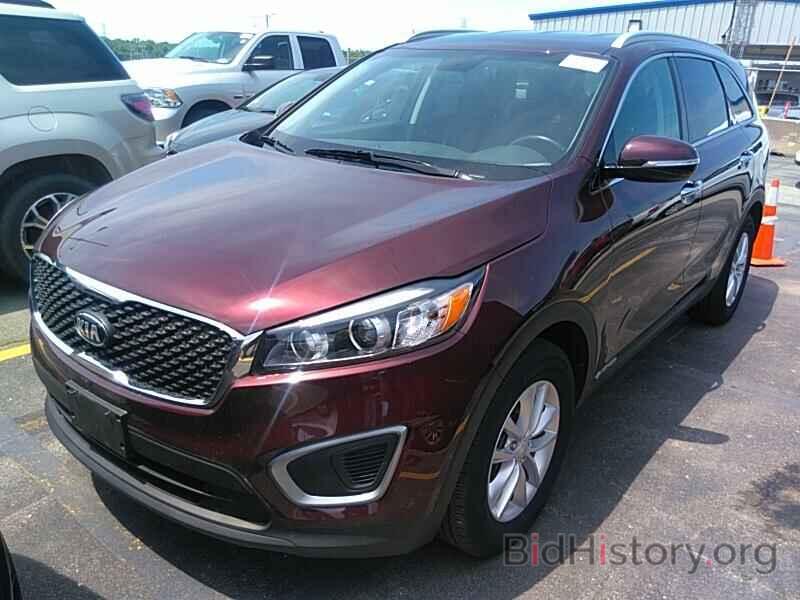 Photo 5XYPGDA58HG232377 - Kia Sorento 2017