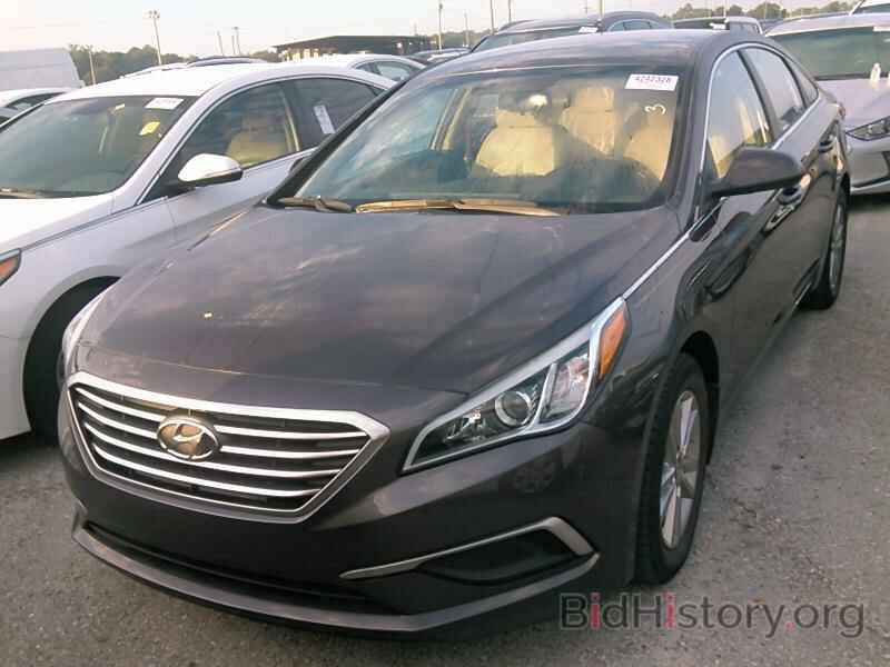 Photo 5NPE24AF8GH426929 - Hyundai Sonata 2016