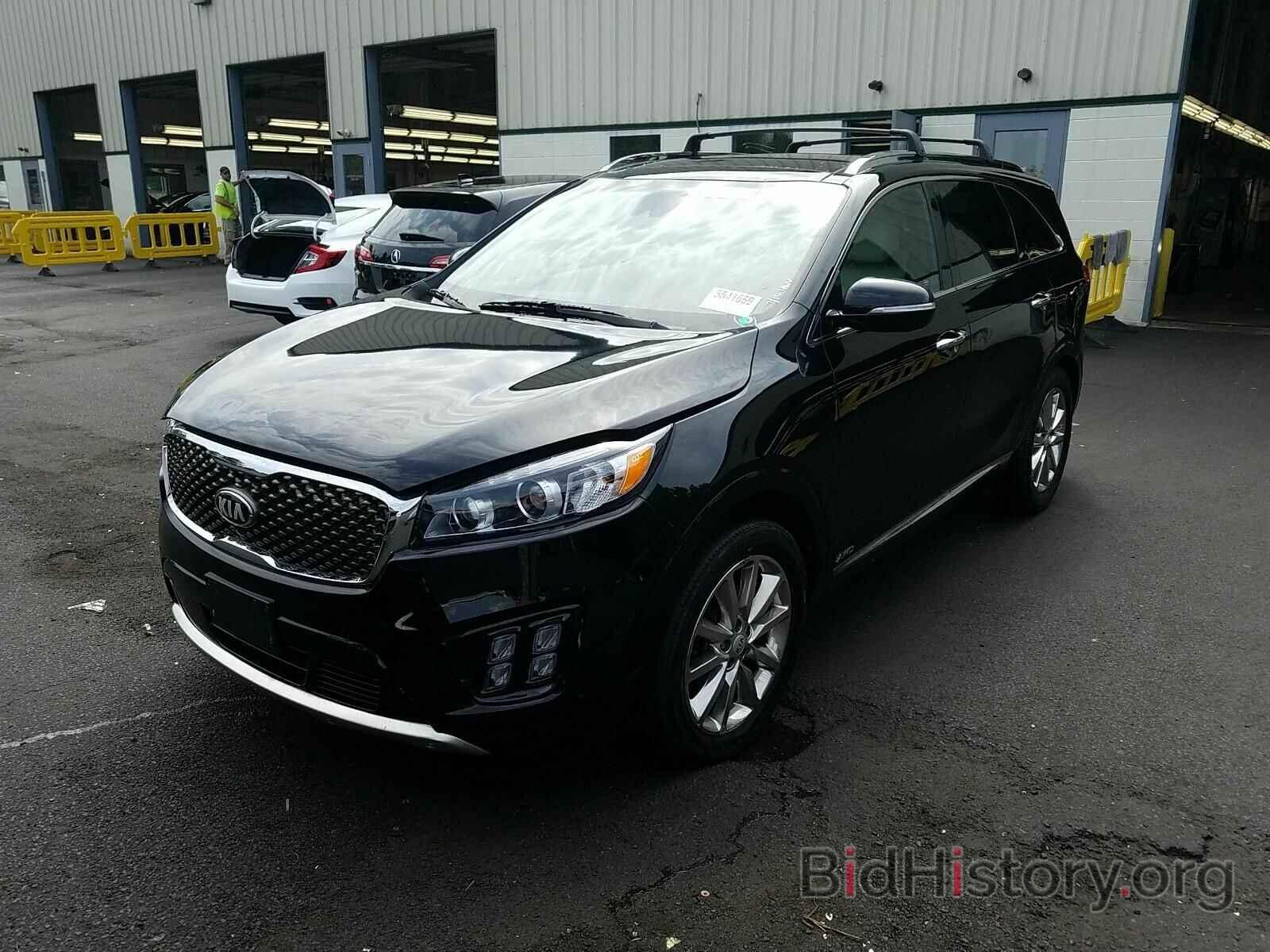 Photo 5XYPKDA53HG307923 - Kia Sorento 2017