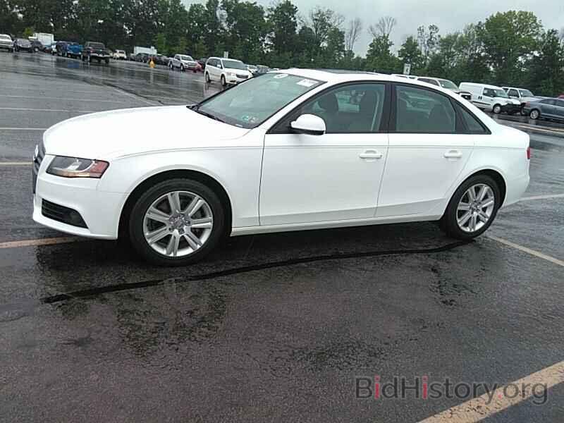 Photo WAUBFAFL8BN037010 - Audi A4 2011