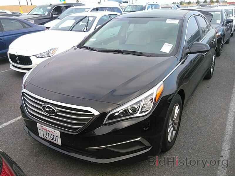 Photo 5NPE24AF9GH347253 - Hyundai Sonata 2016