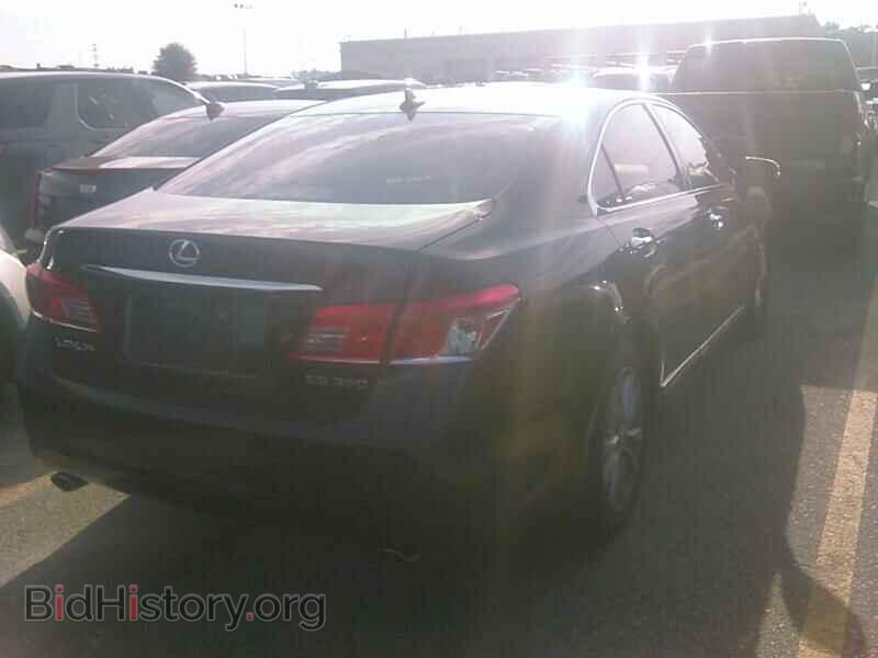 2010 Lexus ES 350 - VIN: JTHBK1EG7A2398889 - Фото 2