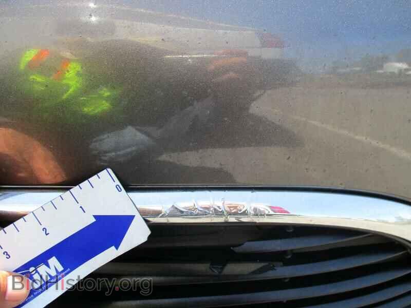 2016 Chrysler 200 - VIN: 1C3CCCAB7GN108963 - Фото 10