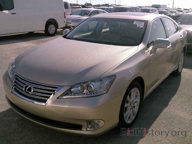 Photo JTHBK1EGXB2423835 - Lexus ES 350 2011