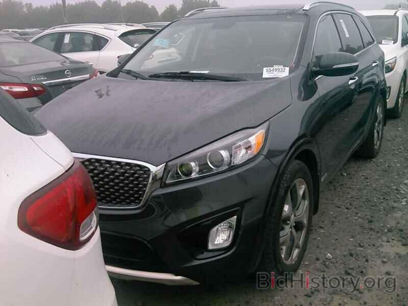 Photo 5XYPKDA58HG204299 - Kia Sorento 2017