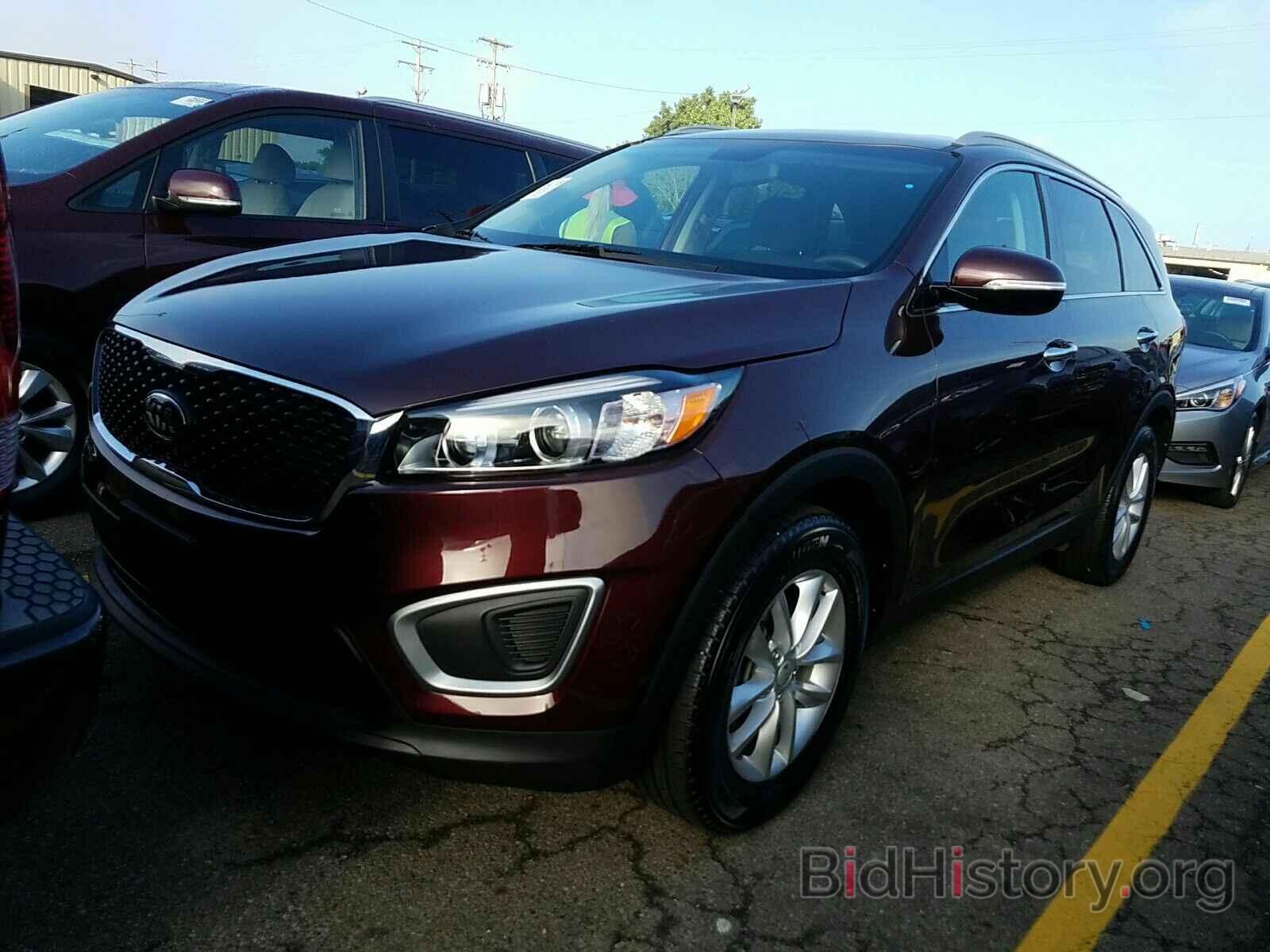 Photo 5XYPG4A39HG196262 - Kia Sorento 2017