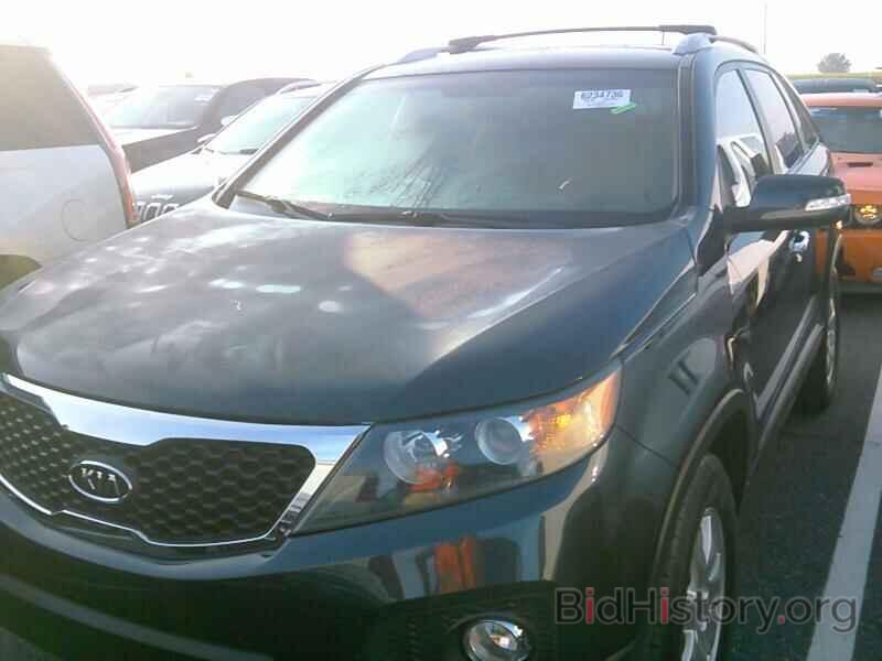 Фотография 5XYKT3A60DG331004 - Kia Sorento 2013