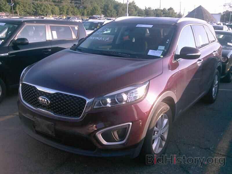 Фотография 5XYPGDA32HG212429 - Kia Sorento 2017