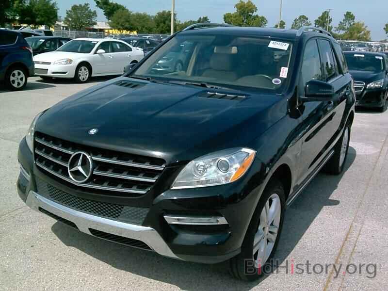 Photo 4JGDA5HB0CA049081 - Mercedes-Benz M-Class 2012