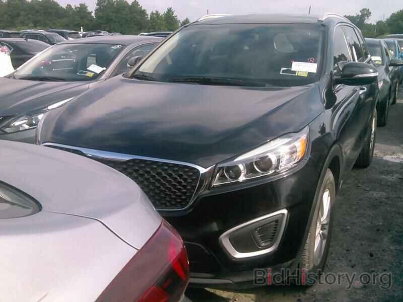 Photo 5XYPGDA38HG215223 - Kia Sorento 2017