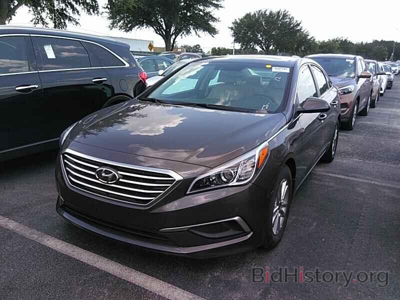 Photo 5NPE24AF7GH431278 - Hyundai Sonata 2016