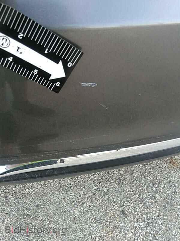 2013 Chrysler 200 - VIN: 1C3CCBBB3DN558095 - Photo 20