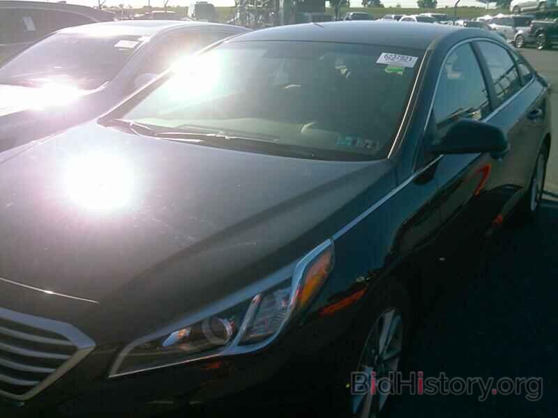 Photo 5NPE24AF2GH282553 - Hyundai Sonata 2016