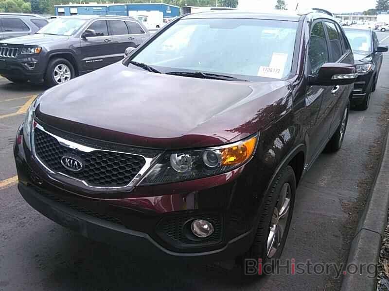 Фотография 5XYKUDA67DG399027 - Kia Sorento 2013