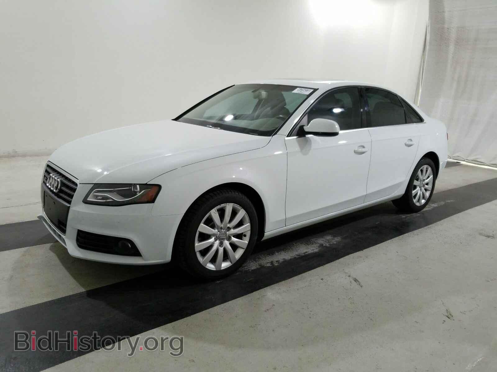 Фотография WAUBFAFL3CA117534 - Audi A4 2012