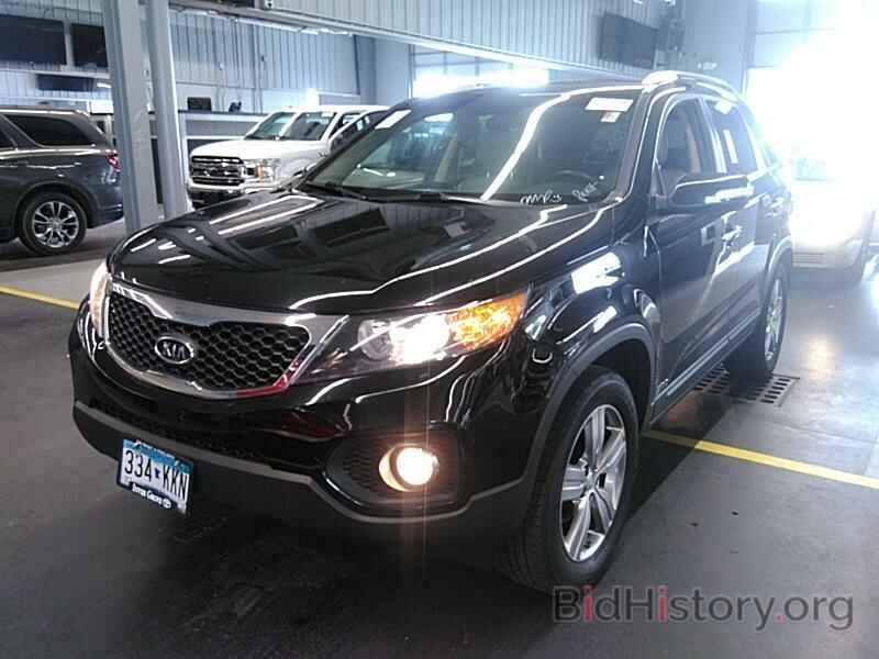 Фотография 5XYKUCA6XDG387139 - Kia Sorento 2013