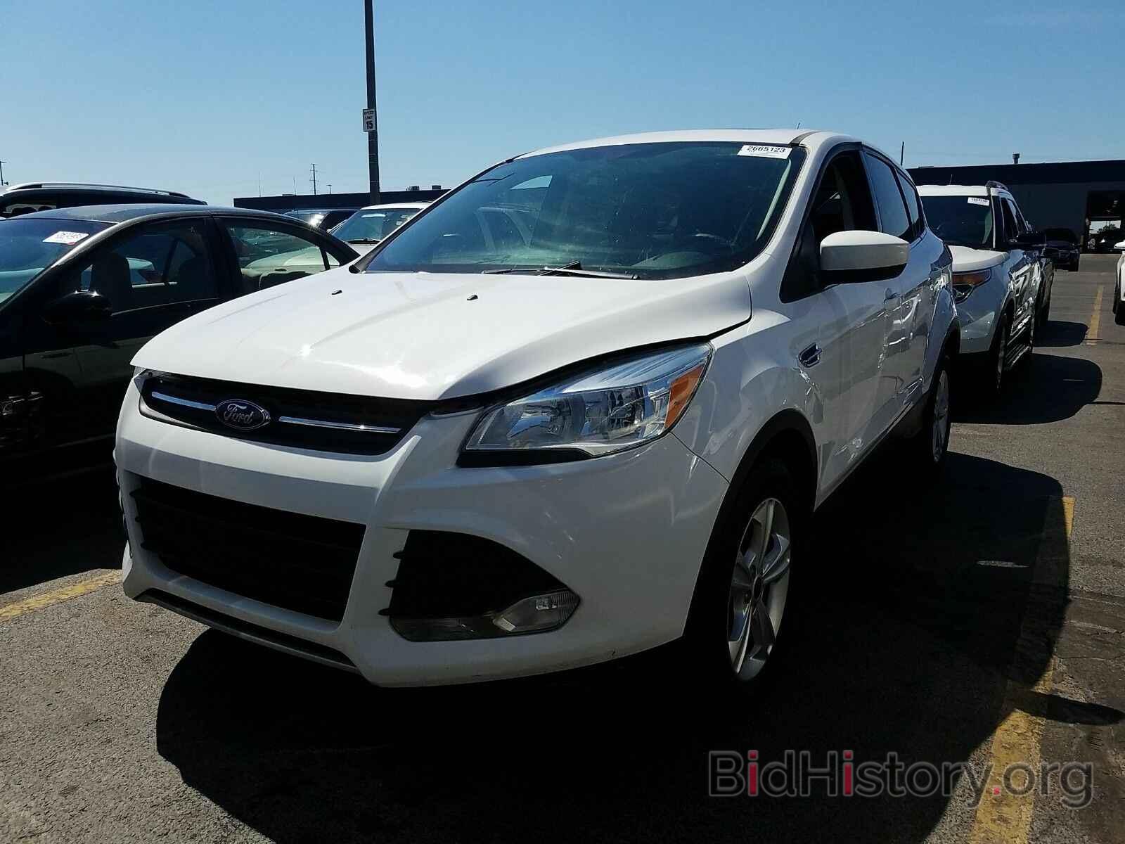 Photo 1FMCU9G98EUB02605 - Ford Escape 2014