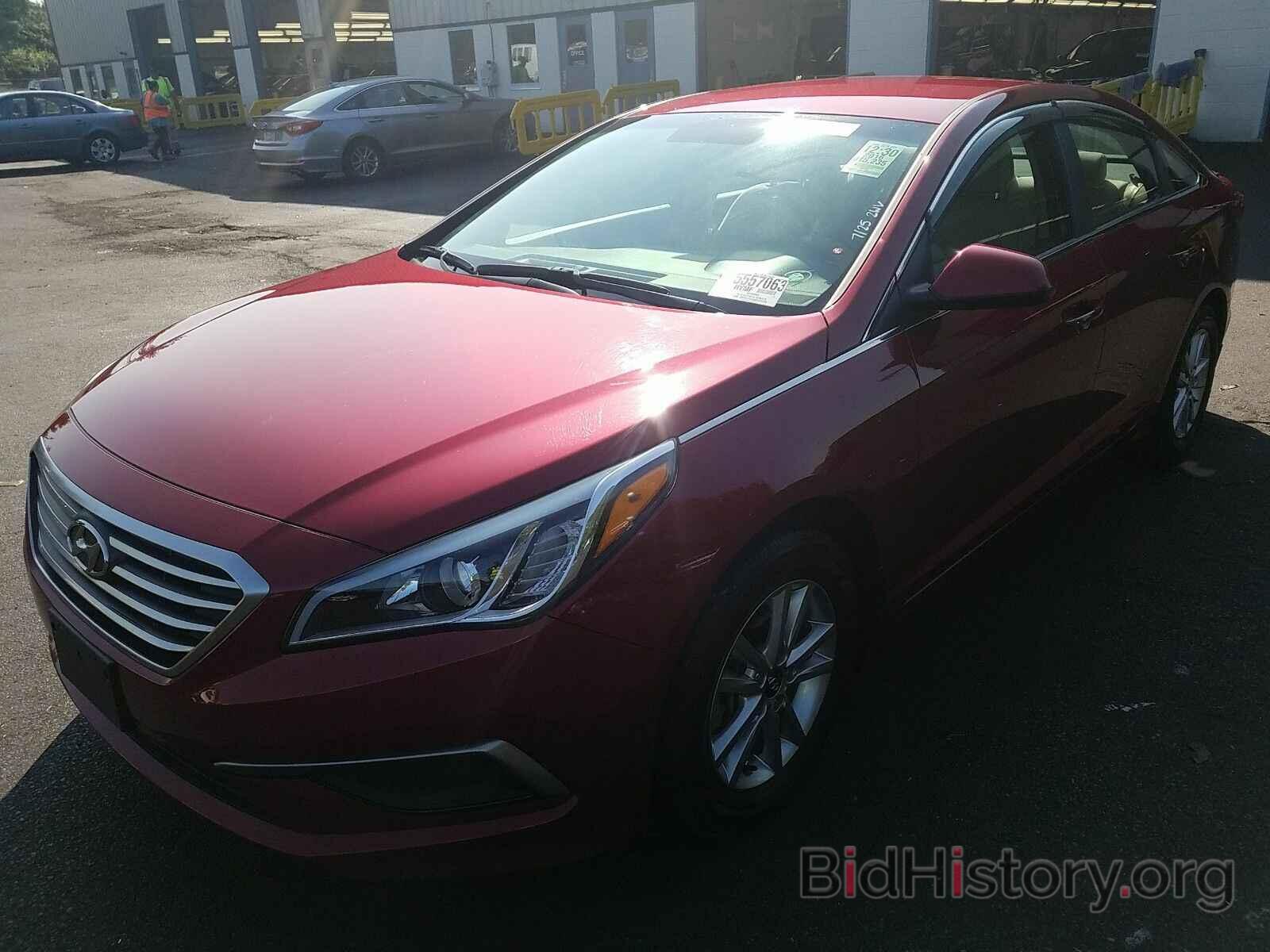 Photo 5NPE24AF5GH426239 - Hyundai Sonata 2016