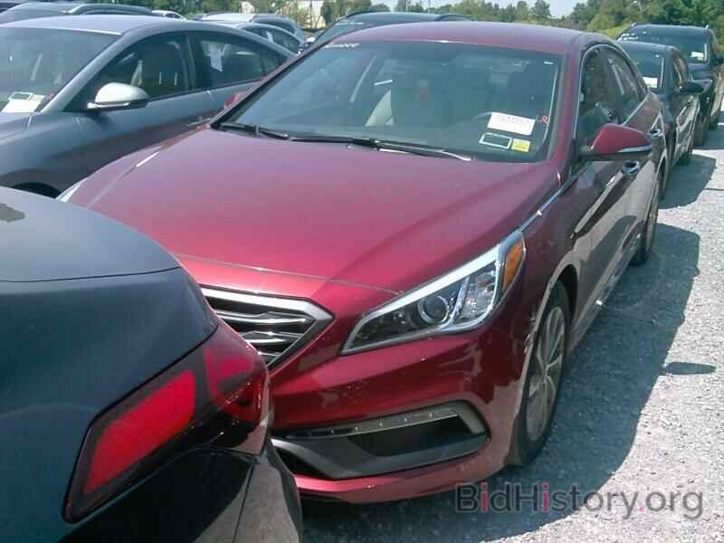 Photo 5NPE34AF2GH428012 - Hyundai Sonata 2016