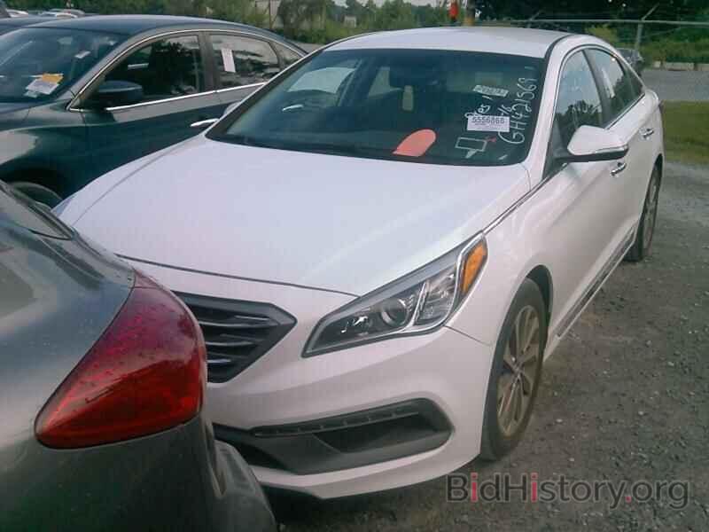 Photo 5NPE34AF5GH421569 - Hyundai Sonata 2016