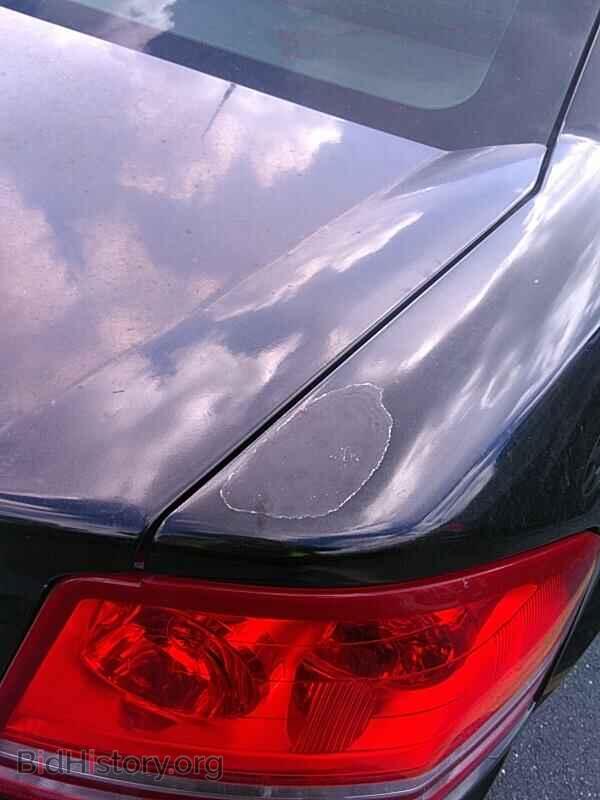 2010 Dodge Avenger - VIN: 1B3CC4FB1AN139581 - Photo 9