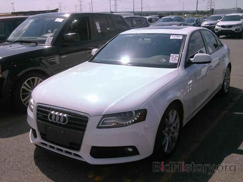 Photo WAUBFCFL2AN044772 - Audi A4 2010