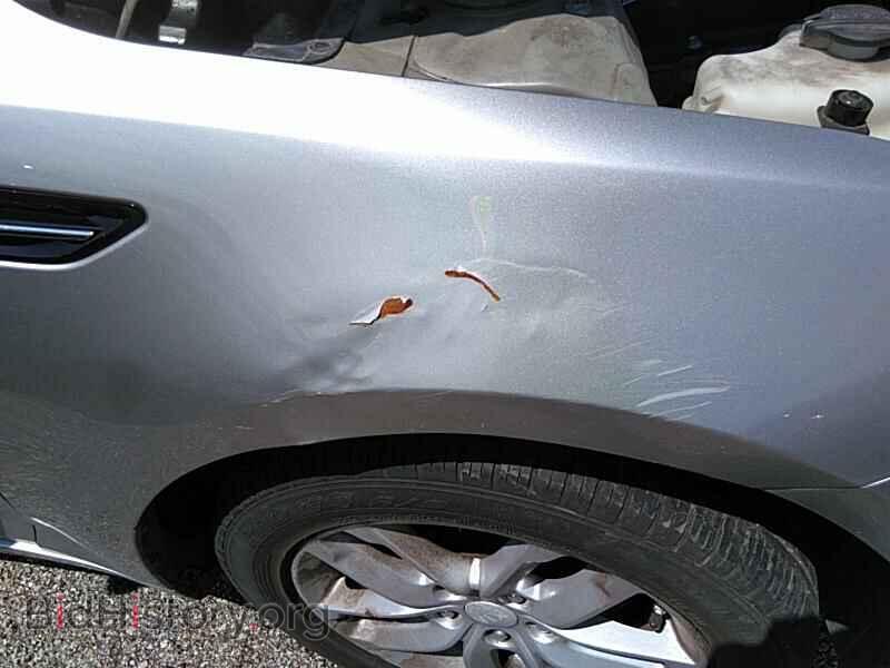 2013 Kia Optima - VIN: KNAGM4A76D5411706 - Фото 20