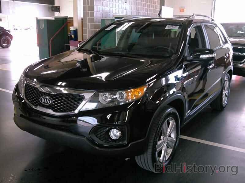 Photo 5XYKUDA28DG394576 - Kia Sorento 2013