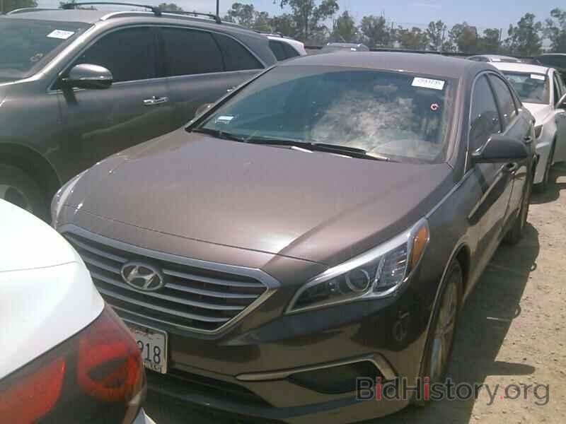 Photo 5NPE24AF5GH433322 - Hyundai Sonata 2016