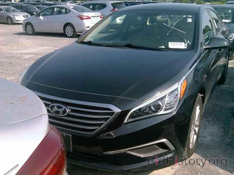 Photo 5NPE24AF2GH304373 - Hyundai Sonata 2016