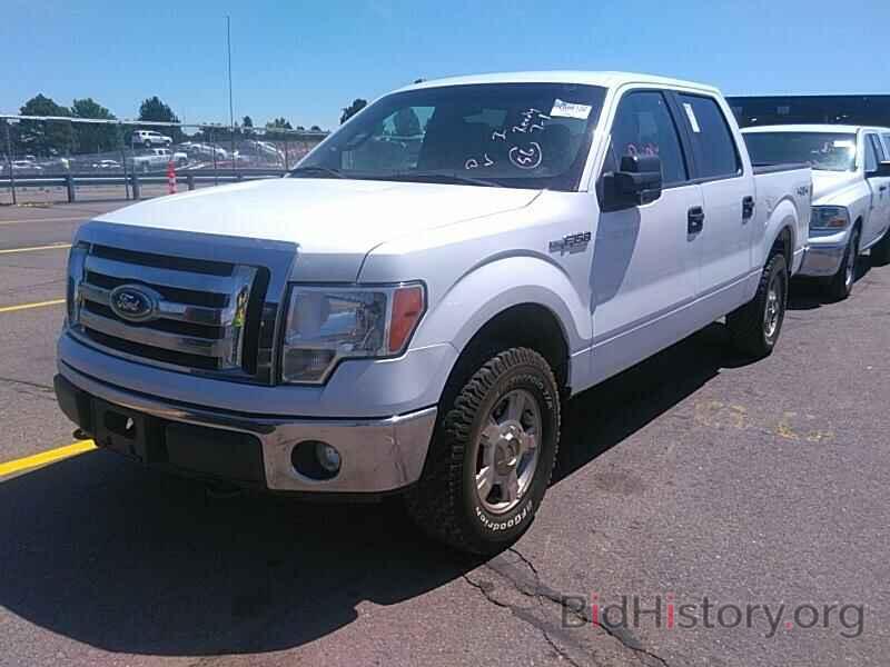 Photo 1FTFW1EF6CFB59120 - Ford F-150 2012