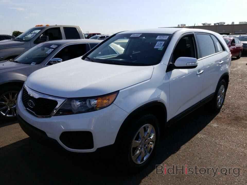 Фотография 5XYKT3A12DG342977 - Kia Sorento 2013