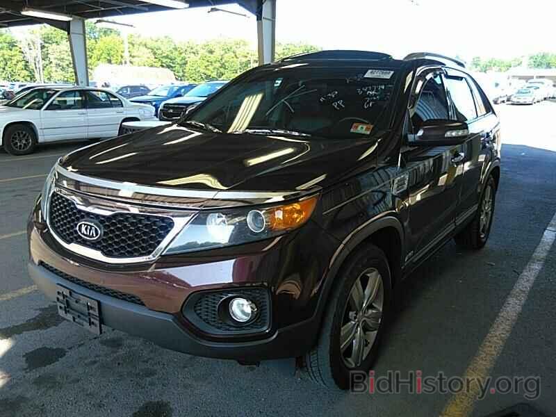 Photo 5XYKUCA64DG387749 - Kia Sorento 2013