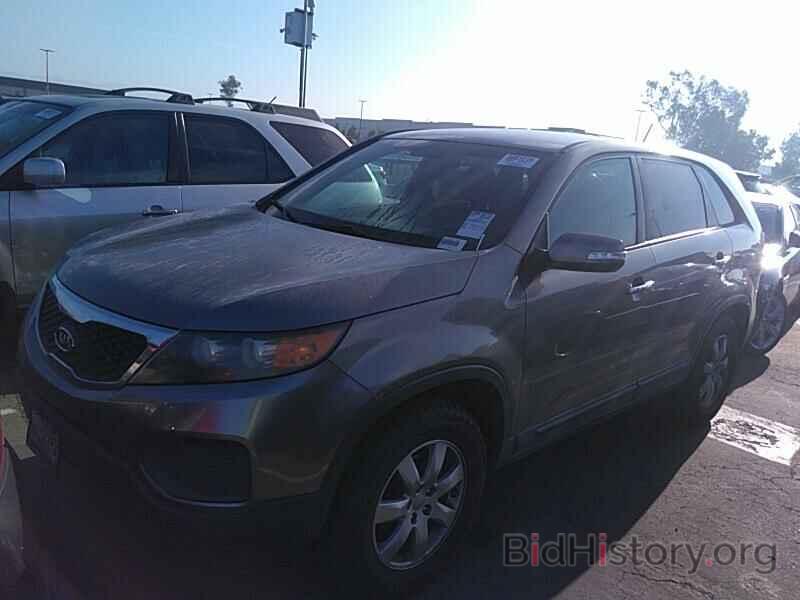 Фотография 5XYKT4A1XCG217701 - Kia Sorento 2012