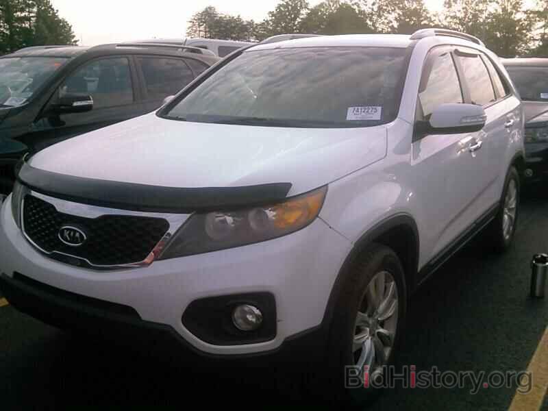 Photo 5XYKU4A22BG110498 - Kia Sorento 2011