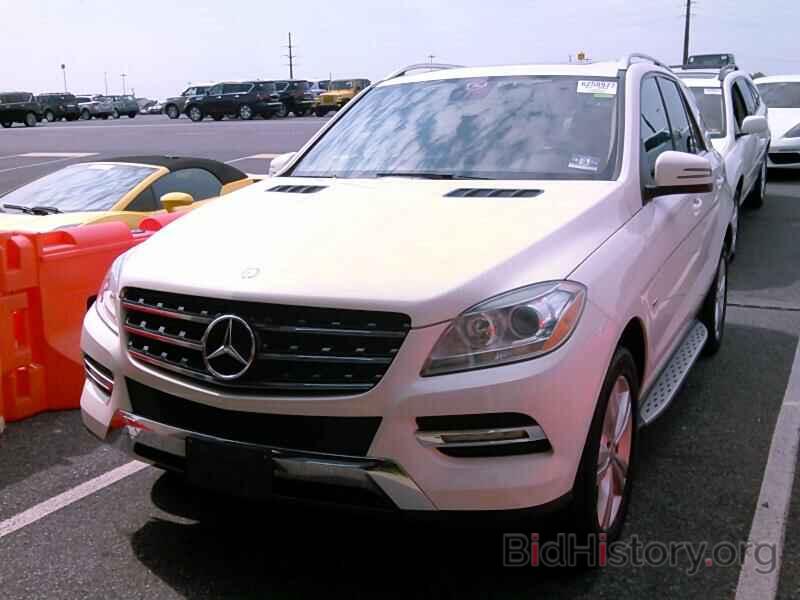 Фотография 4JGDA5HB9CA068051 - Mercedes-Benz M-Class 2012