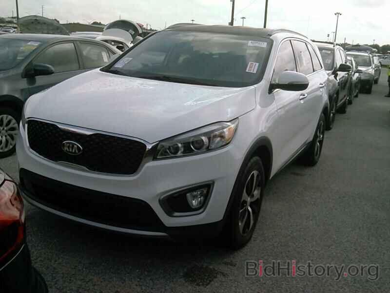 Photo 5XYPH4A12GG102278 - Kia Sorento 2016