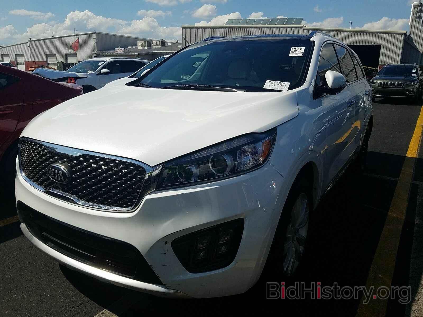 Photo 5XYPK4A54GG147226 - Kia Sorento 2016