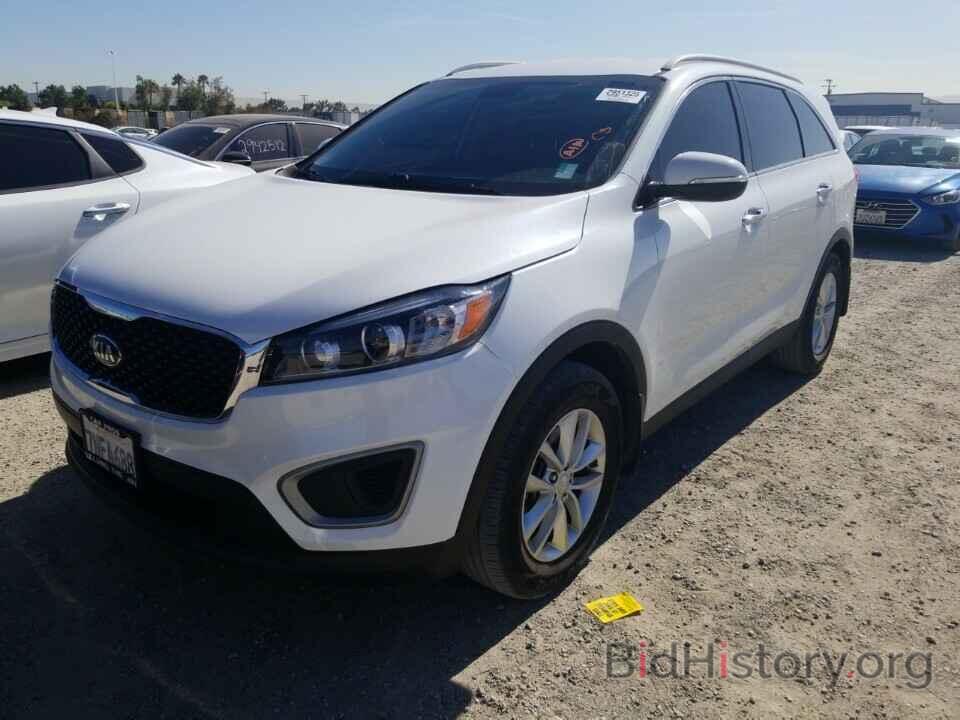 Photo 5XYPG4A31GG062683 - Kia Sorento 2016