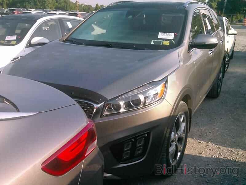 Photo 5XYPK4A13GG038415 - Kia Sorento 2016