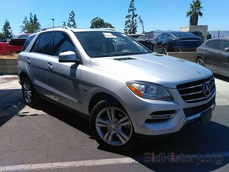 Photo 4JGDA5HB0CA025962 - Mercedes-Benz M-Class 2012