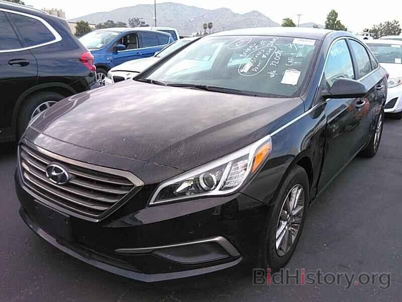 Photo 5NPE24AF9GH320098 - Hyundai Sonata 2016