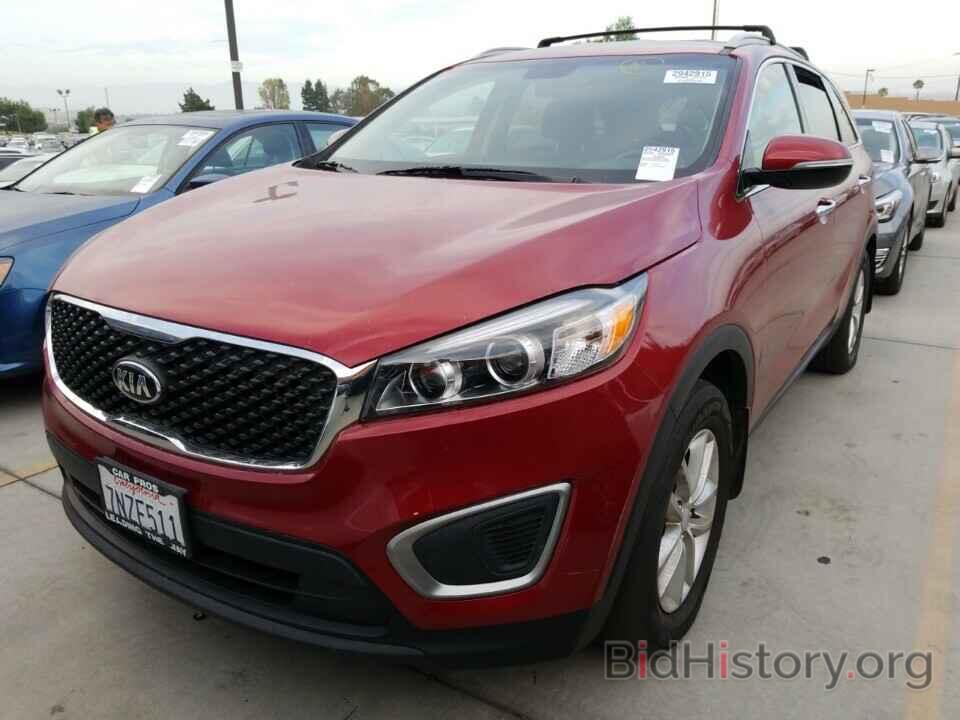 Photo 5XYPG4A31GG100266 - Kia Sorento 2016